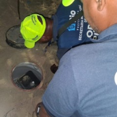 Opera&ccedil;&atilde;o Tatu&iacute;