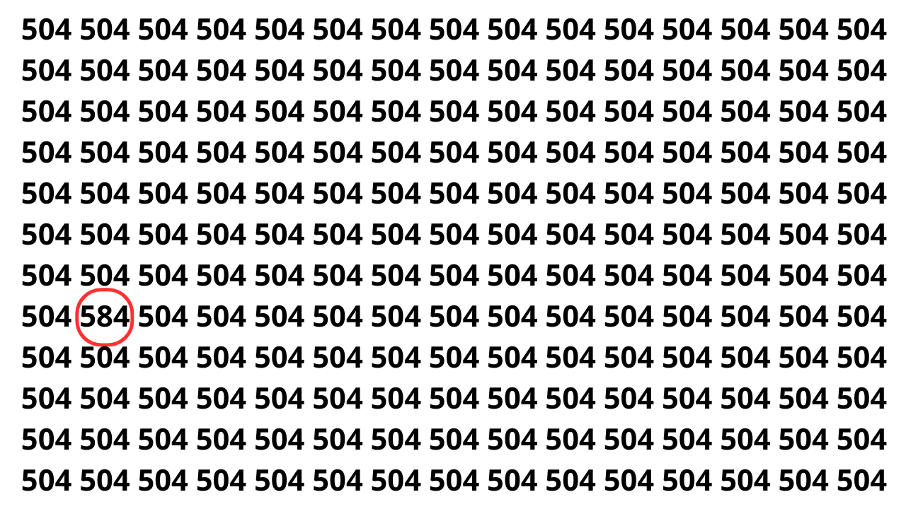 Treine sua atenção procurando o número camuflado entre vários 504