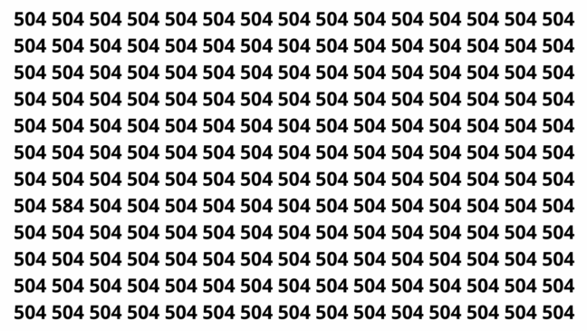 Treine sua atenção procurando o número camuflado entre vários 504