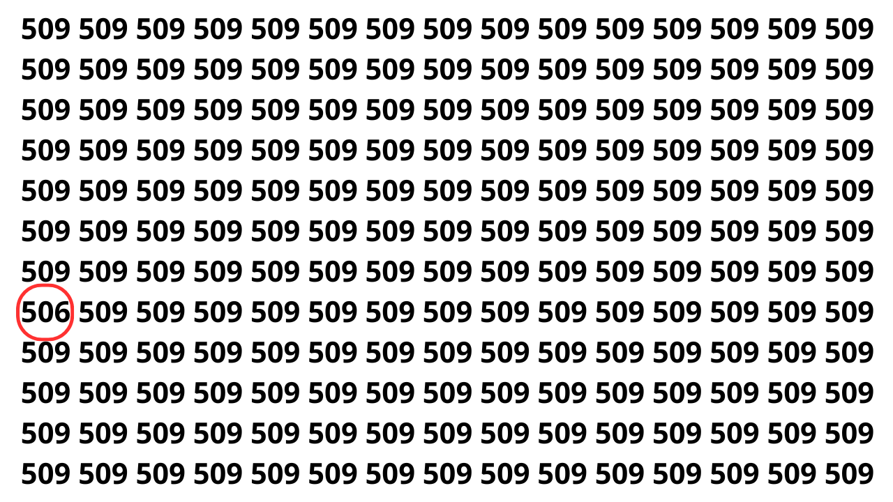 Puzzle relâmpago: encontre o número 506 entre dezenas de 509