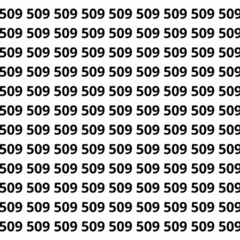Puzzle relâmpago: encontre o número 506 entre dezenas de 509