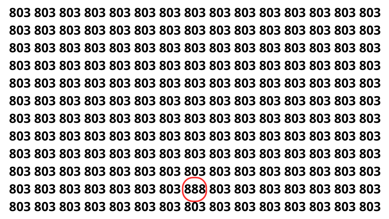 Será que você é capaz de encontrar o número escondido na imagem?
