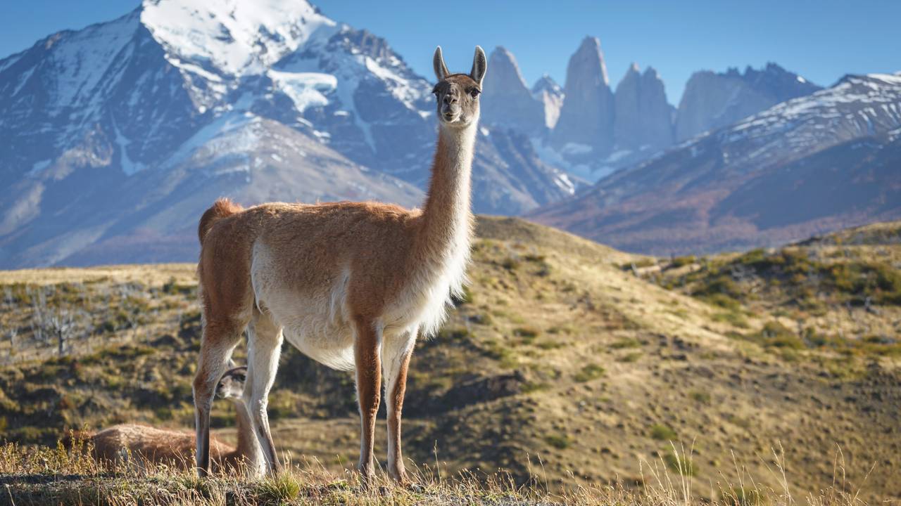 Destino de verão ao lado do Brasil que tem cenários de tirar o fôlego