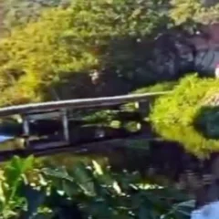 carro cai em canal em Guaratiba