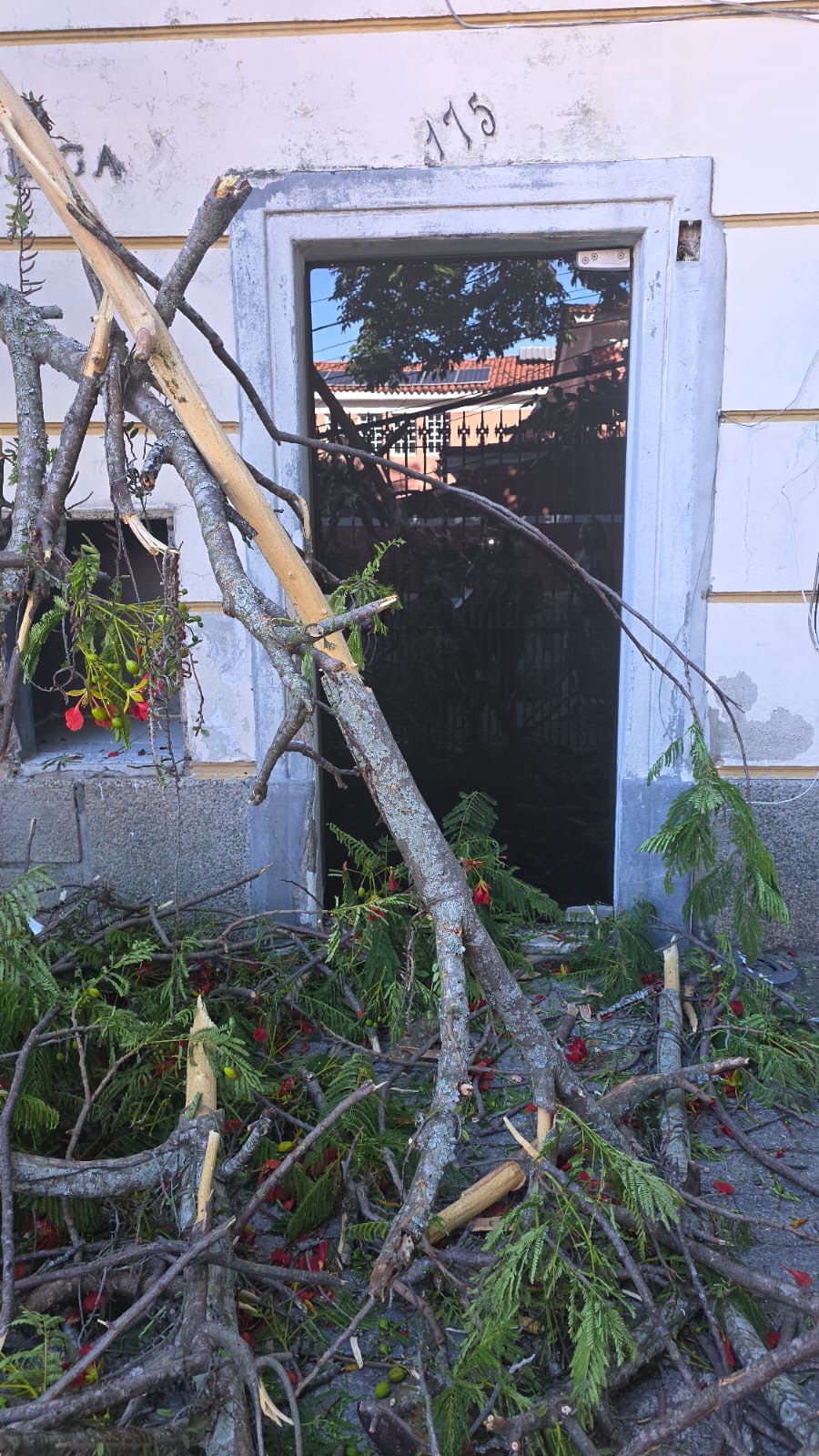 Foto: Juliana Lohmann Foto: Juliana Lohmann