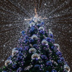 Maior árvore de Natal do mundo encanta com luzes e tradição