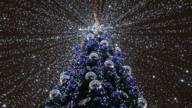 Maior árvore de Natal do mundo encanta com luzes e tradição