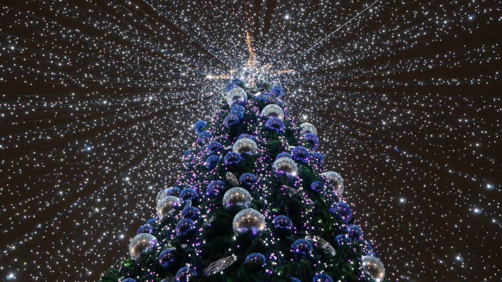 Maior árvore de Natal do mundo encanta com luzes e tradição Maior árvore de Natal do mundo encanta com luzes e tradição