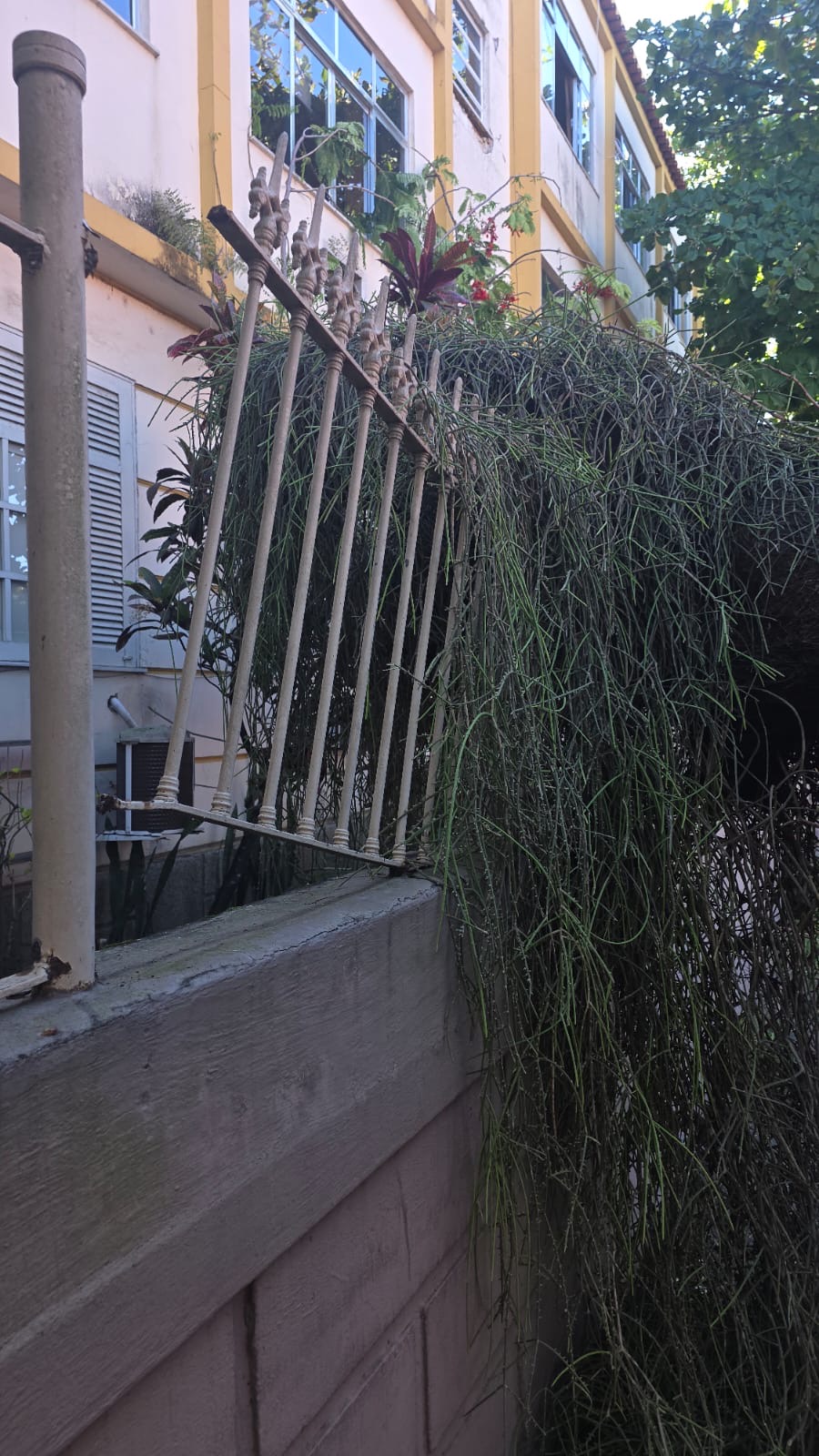 Foto: Juliana Lohmann Foto: Juliana Lohmann