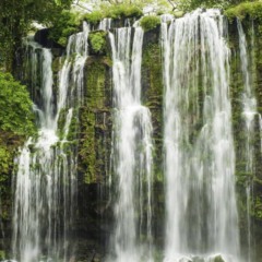 O contato com a natureza faz parte do "banho de floresta" e influencia positivamente na saúde e bem estar.