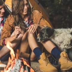 A palavra-chave principal neste tema é cachorro de rua - Créditos: depositphotos.com / ArturVerkhovetskiy