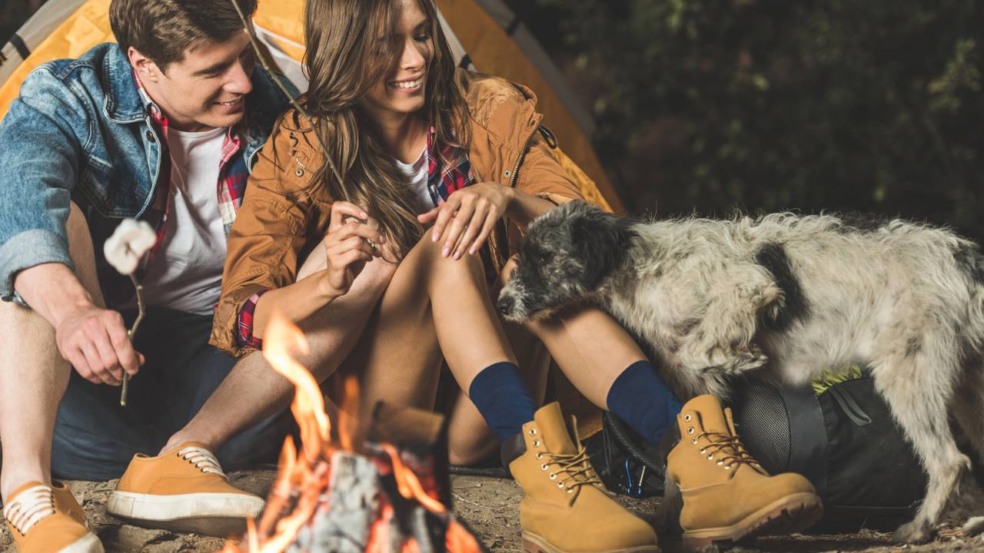 A palavra-chave principal neste tema é cachorro de rua - Créditos: depositphotos.com / ArturVerkhovetskiy A palavra-chave principal neste tema é cachorro de rua - Créditos: depositphotos.com / ArturVerkhovetskiy