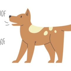 Cachorro latindo com postura atenta, representando comunicação, emoções e reação ao ambiente