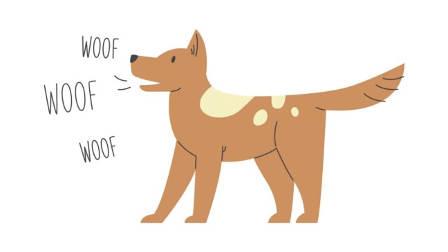 Cachorro latindo com postura atenta, representando comunicação, emoções e reação ao ambiente