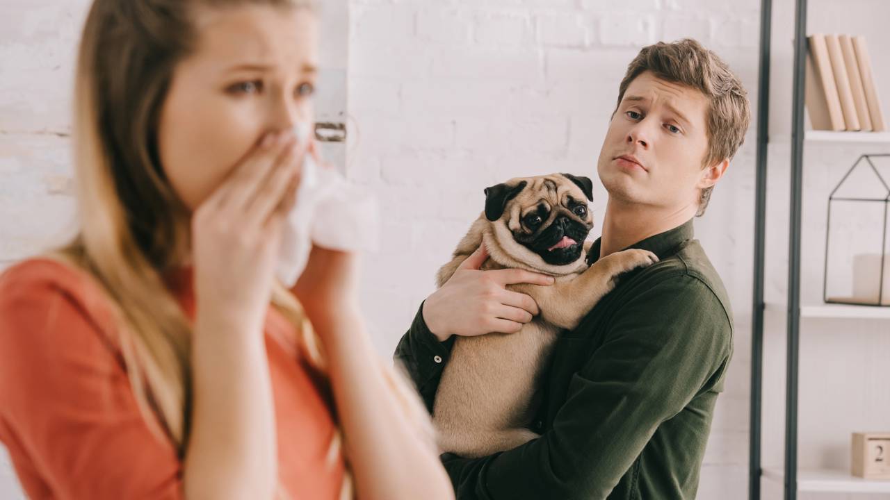Tutor observando sinais corporais de um cachorro que chora com frequ&ecirc;ncia
