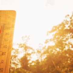 Calor extremo exige hidrata&ccedil;&atilde;o frequente para prevenir sintomas de golpe de calor.