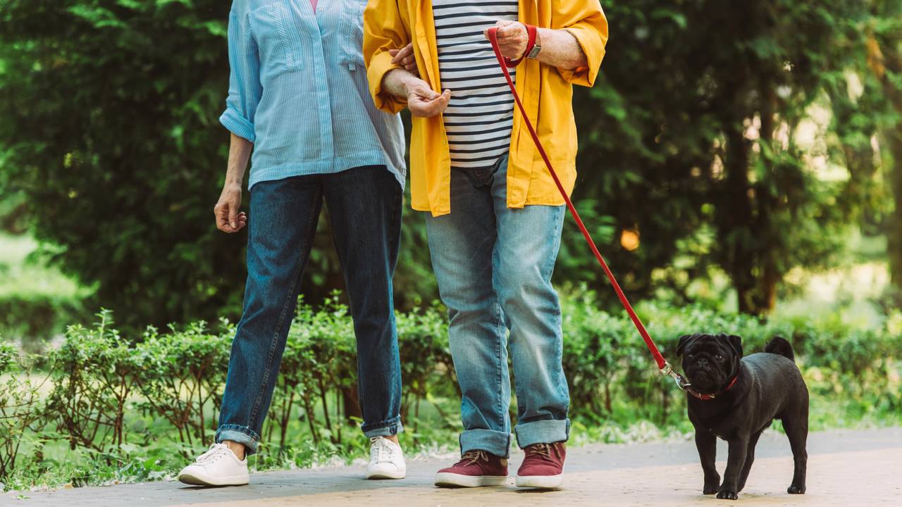 A caminhada ajuda a melhorar a qualidade do sono
