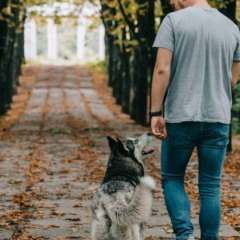 Caminhada em ambiente tranquilo ajuda a reduzir ansiedade e melhorar o bem-estar emocional.