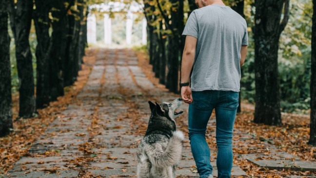 Caminhada em ambiente tranquilo ajuda a reduzir ansiedade e melhorar o bem-estar emocional.