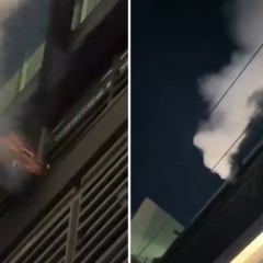 Reprodu&ccedil;&atilde;o