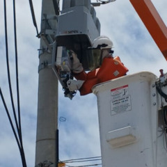 ENERGIA LEGAL DA ENEL