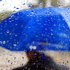 Créditos: depositphotos.com / ValeStock