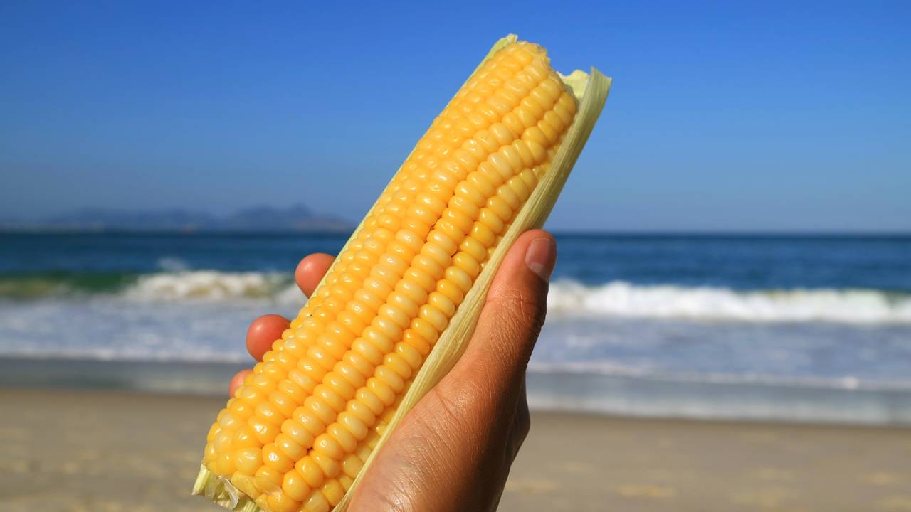 Quanto custa um dia de praia com a família?