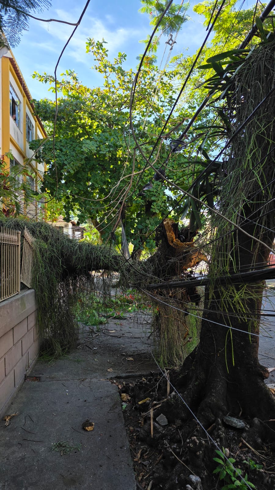 Foto: Juliana Lohmann Foto: Juliana Lohmann