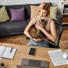 Por que seu gato te ignora e escolhe outra pessoa como favorita da casa?