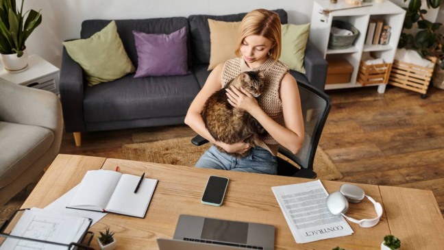 Por que seu gato te ignora e escolhe outra pessoa como favorita da casa?