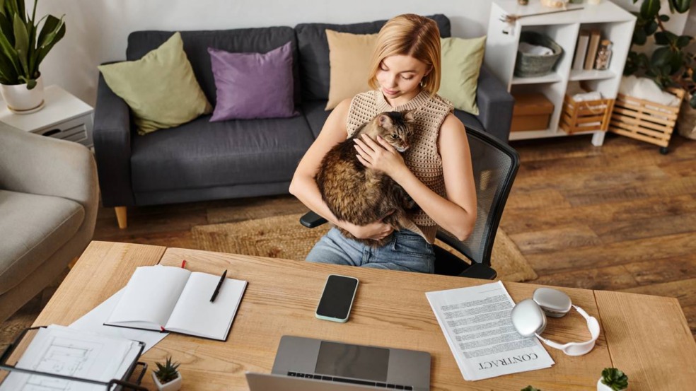 Por que seu gato te ignora e escolhe outra pessoa como favorita da casa? Por que seu gato te ignora e escolhe outra pessoa como favorita da casa?