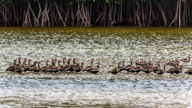 Um destino incrível na Região Norte que os brasileiros precisam conhecer