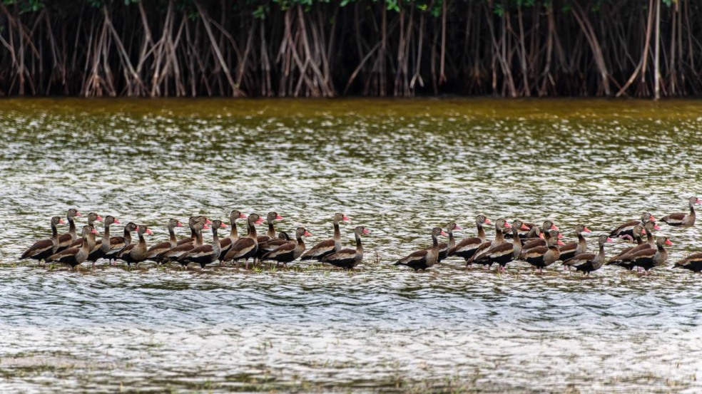 Um destino incrível na Região Norte que os brasileiros precisam conhecer Um destino incrível na Região Norte que os brasileiros precisam conhecer