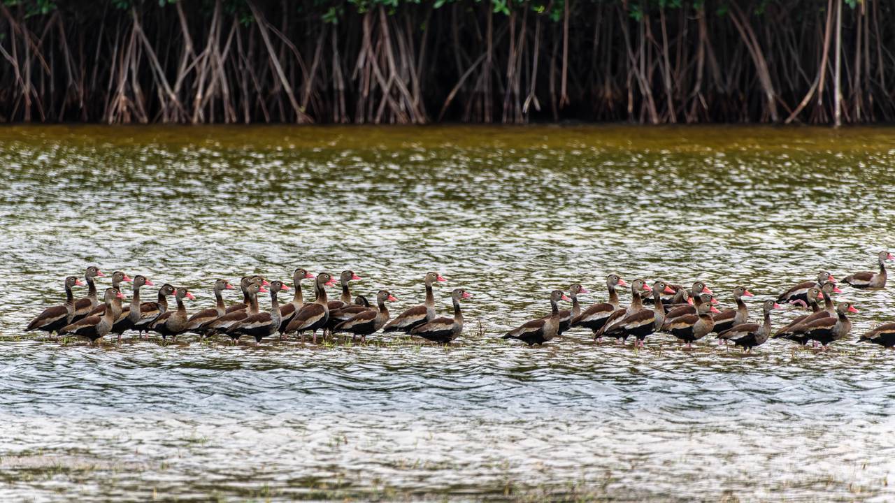 Um destino incrível na Região Norte que os brasileiros precisam conhecer