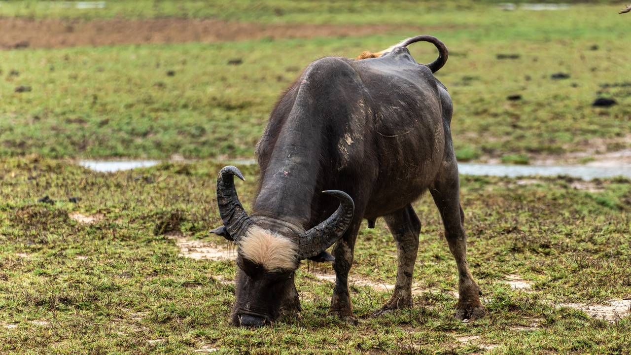Um destino incrível na Região Norte que os brasileiros precisam conhecer