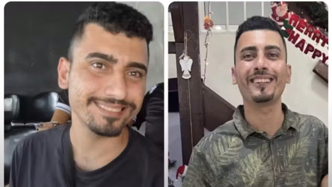 Pedro Henrique Haddad Ribas