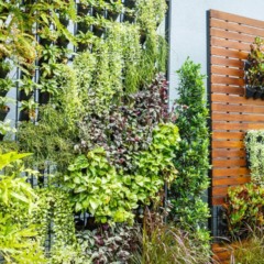 Jardim vertical transforma quintais apertados em áreas produtivas usando materiais simples