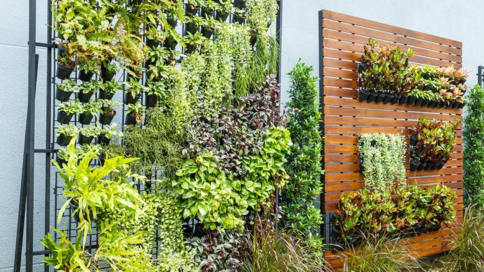 Jardim vertical transforma quintais apertados em áreas produtivas usando materiais simples