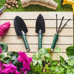 Ferramentas básicas de jardinagem usadas por iniciantes