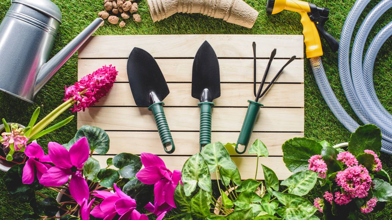 Ferramentas b&aacute;sicas de jardinagem usadas por iniciantes