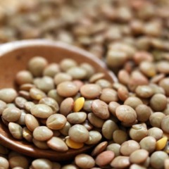 Créditos: depositphotos.com / MichikoDesign