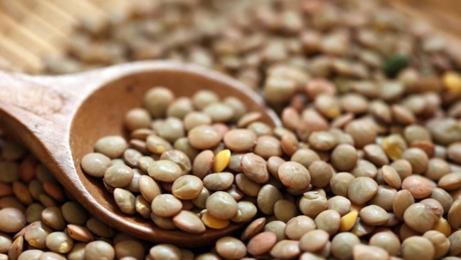 Créditos: depositphotos.com / MichikoDesign