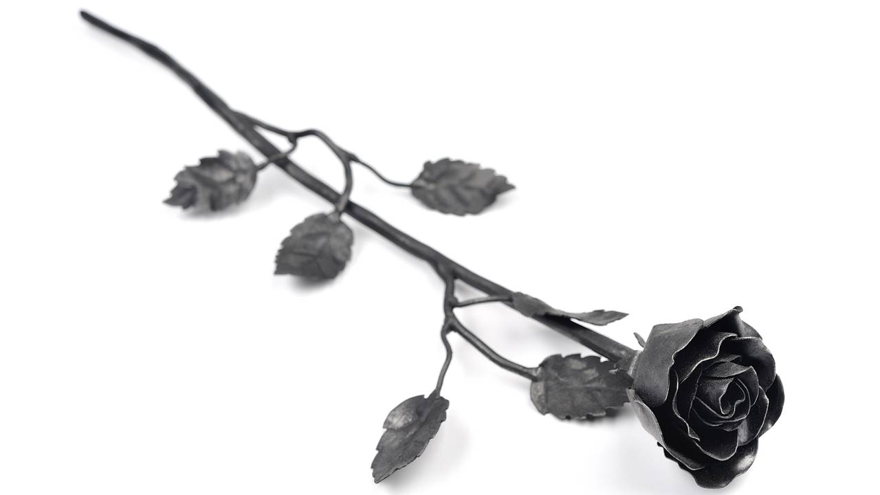 Flor em preto e branco refletindo sobre perdas simbólicas e luto invisível no dia a dia