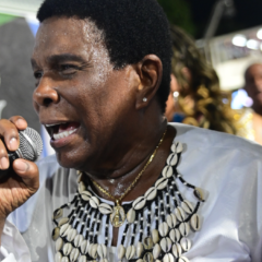 Neguinho da Beija-Flor | Foto: Leo Franco