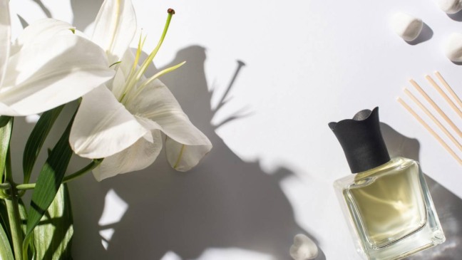 Plantas aromáticas em vasos usadas para perfumar a casa de forma natural