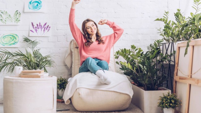 Ambiente interno com plantas como jiboia, samambaia e filodendro usadas para amenizar o calor e deixar a casa mais fresca sem ar-condicionado.
