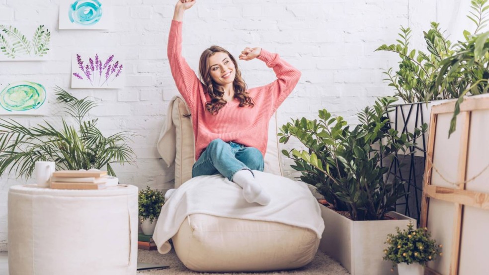 Ambiente interno com plantas como jiboia, samambaia e filodendro usadas para amenizar o calor e deixar a casa mais fresca sem ar-condicionado. Ambiente interno com plantas como jiboia, samambaia e filodendro usadas para amenizar o calor e deixar a casa mais fresca sem ar-condicionado.