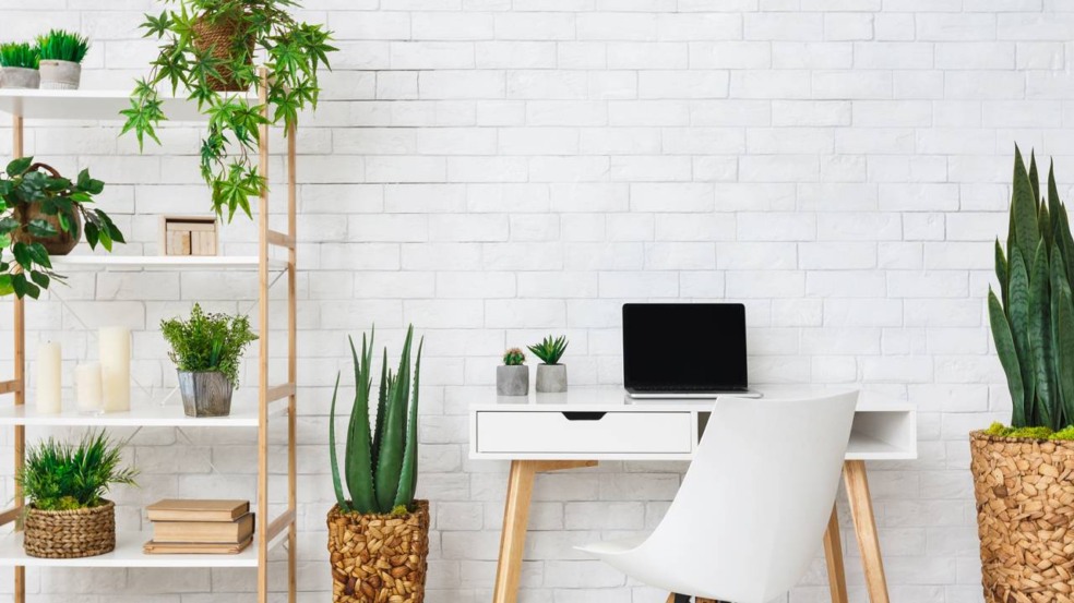 Home office pequeno decorado com plantas em vasos compactos e pendentes, mantendo a funcionalidade do espaço. Home office pequeno decorado com plantas em vasos compactos e pendentes, mantendo a funcionalidade do espaço.