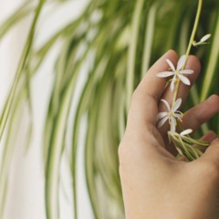Folha que avisa quando o ar da casa está ruim colocada em local visível dentro de casa