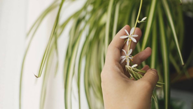 Folha que avisa quando o ar da casa está ruim colocada em local visível dentro de casa